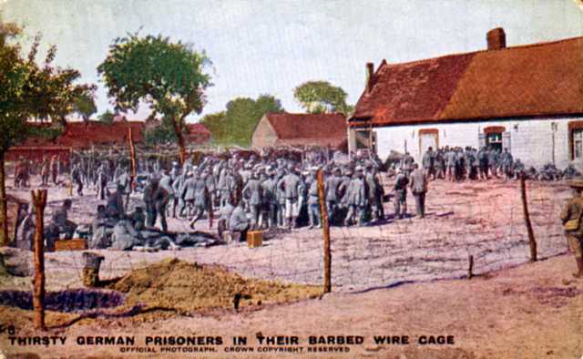Series 1 No. 8