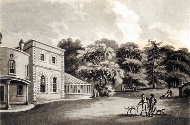 Pitt Place by John Hassells