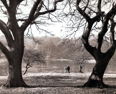 Stew Ponds c.1950