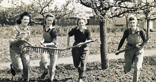 Land Army Girls at Long Grove and Horton Estate