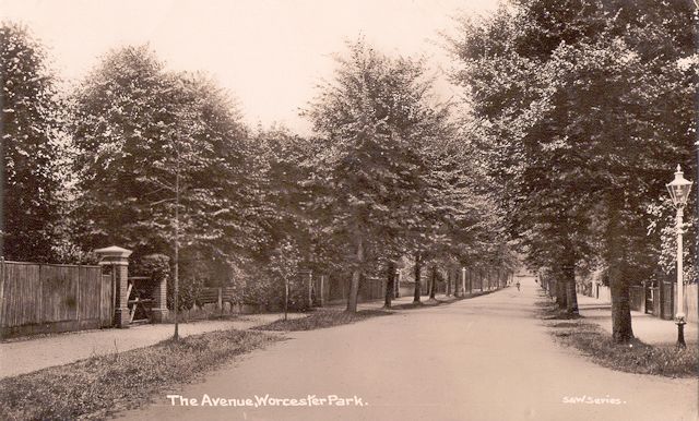 The Avenue 1908
