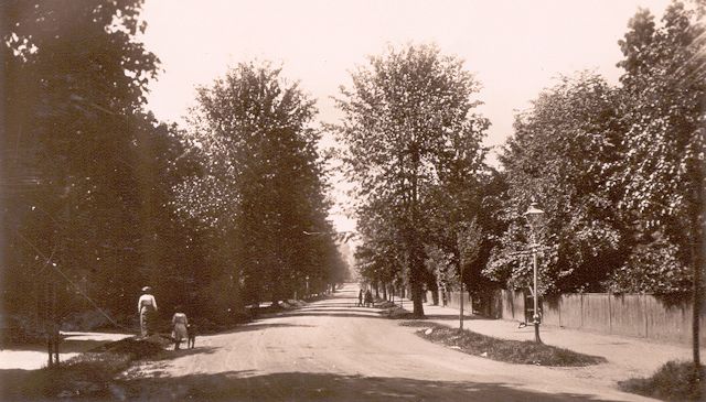 The Avenue, Worcester Park