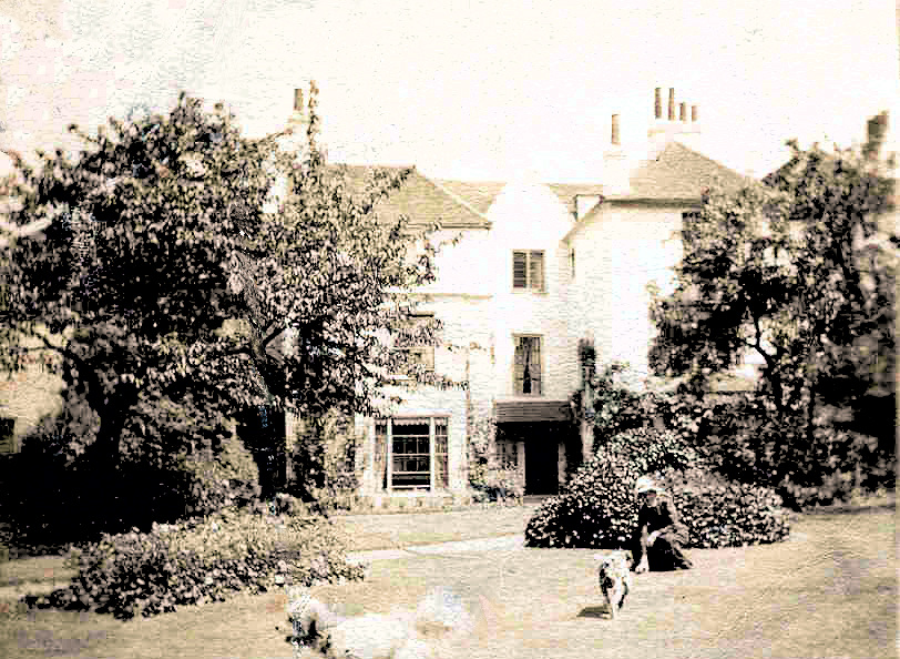 Postcard of Silver Birches c.1904.