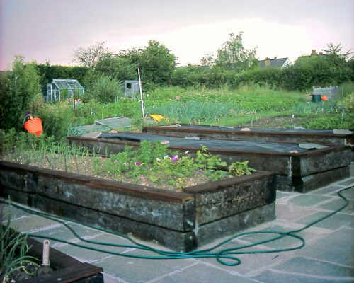 Raised Plots