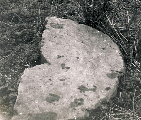 Part of an 80 inch Broken Mill Stone photographed in the 1950s