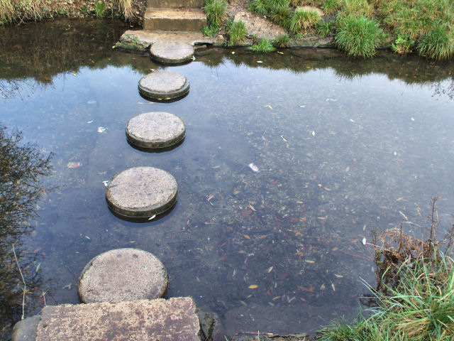 Stepping Stones across the Hogsmill