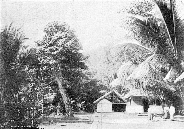 Mr Ross's compound on Christmas Island