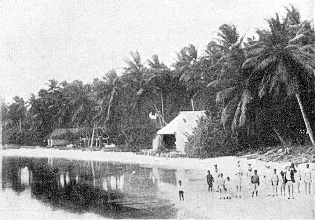The beach, boat houses and cocoa-nut trees