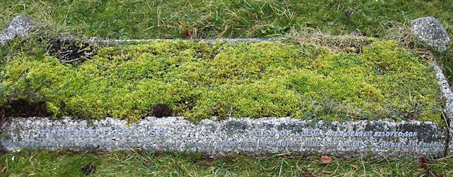 Reginald's inscription on his parents' grave Reginald's inscription on his parents' grave
