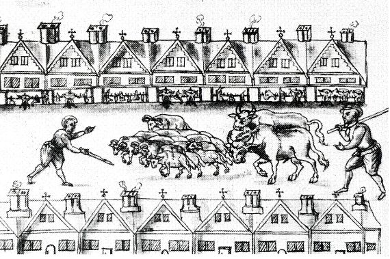 Moving Cattle