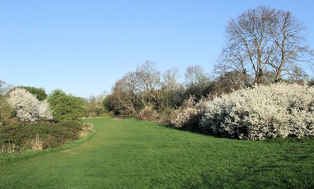 Kingsmead