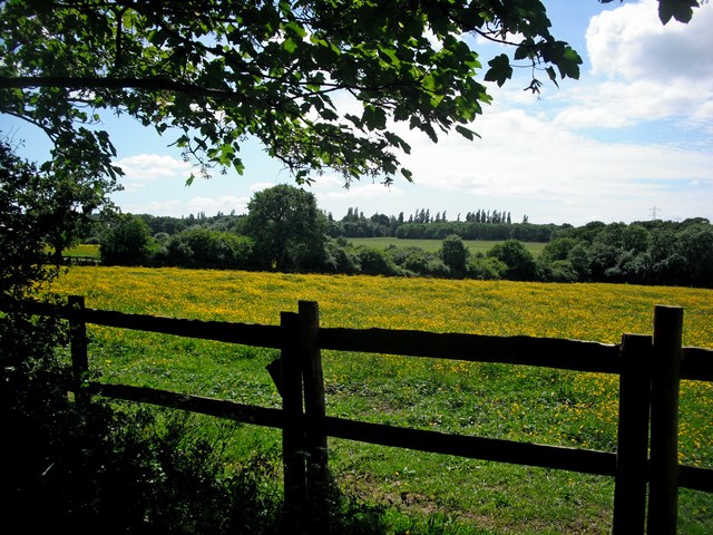 Looking west across the fields opposite the Equestrian Centre