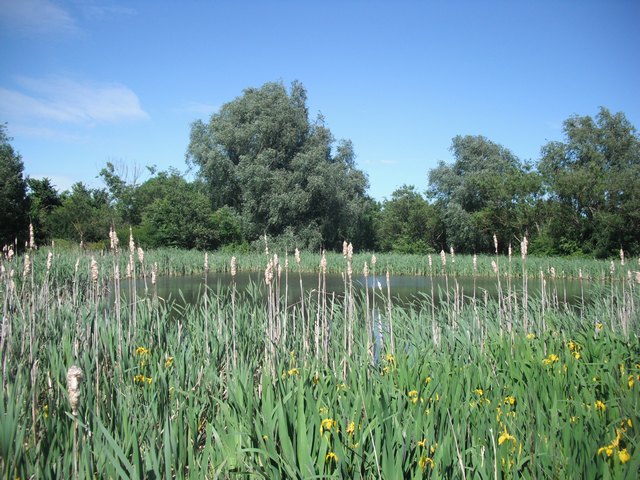 Meadow Pond