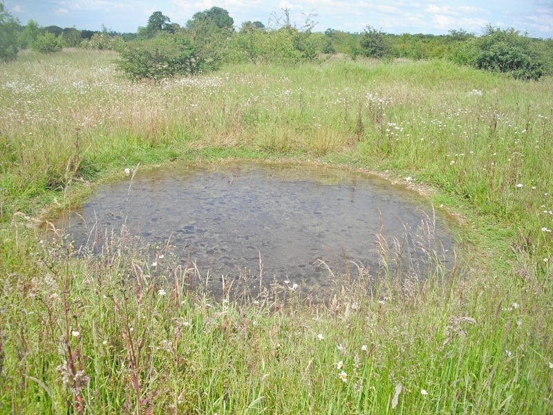 Work has started on the first pond