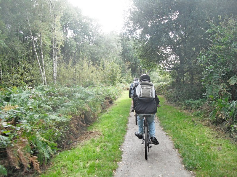 Cycling through Bramble Heath Cycling through Bramble Heath