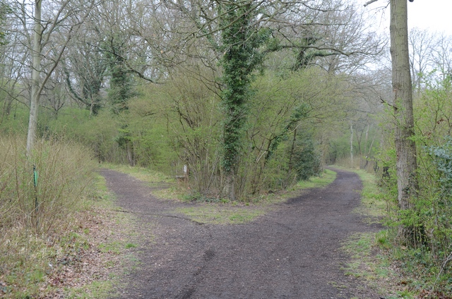 Long Grove Junction Long Grove Junction