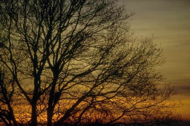 Dawn