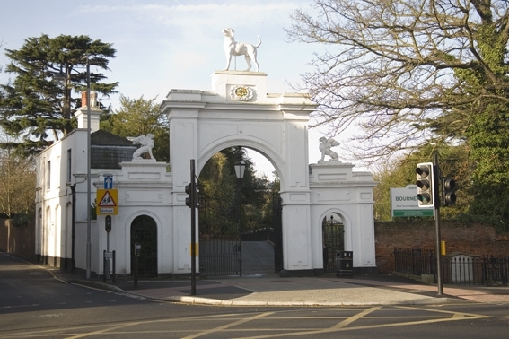 Dog Gate in 2007