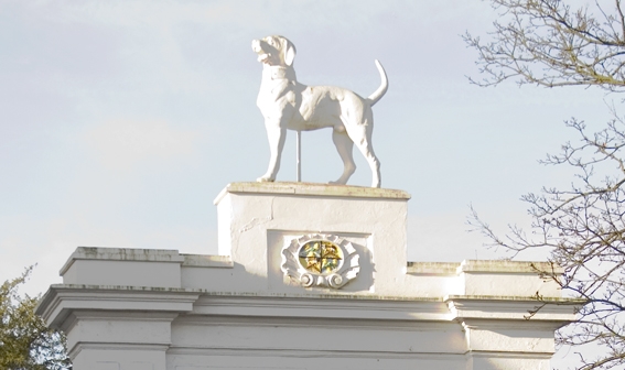 Dog Gate Detail
