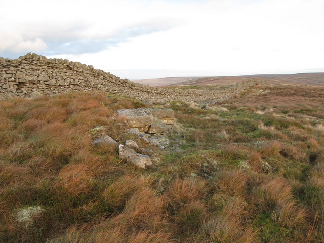 Dora's Seat