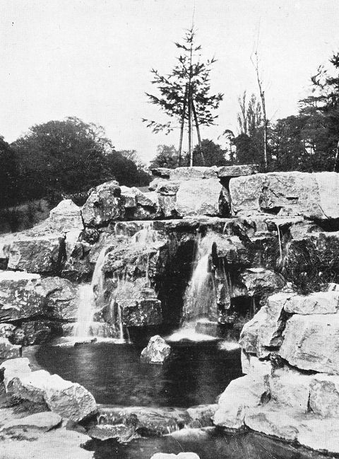 The Waterfall