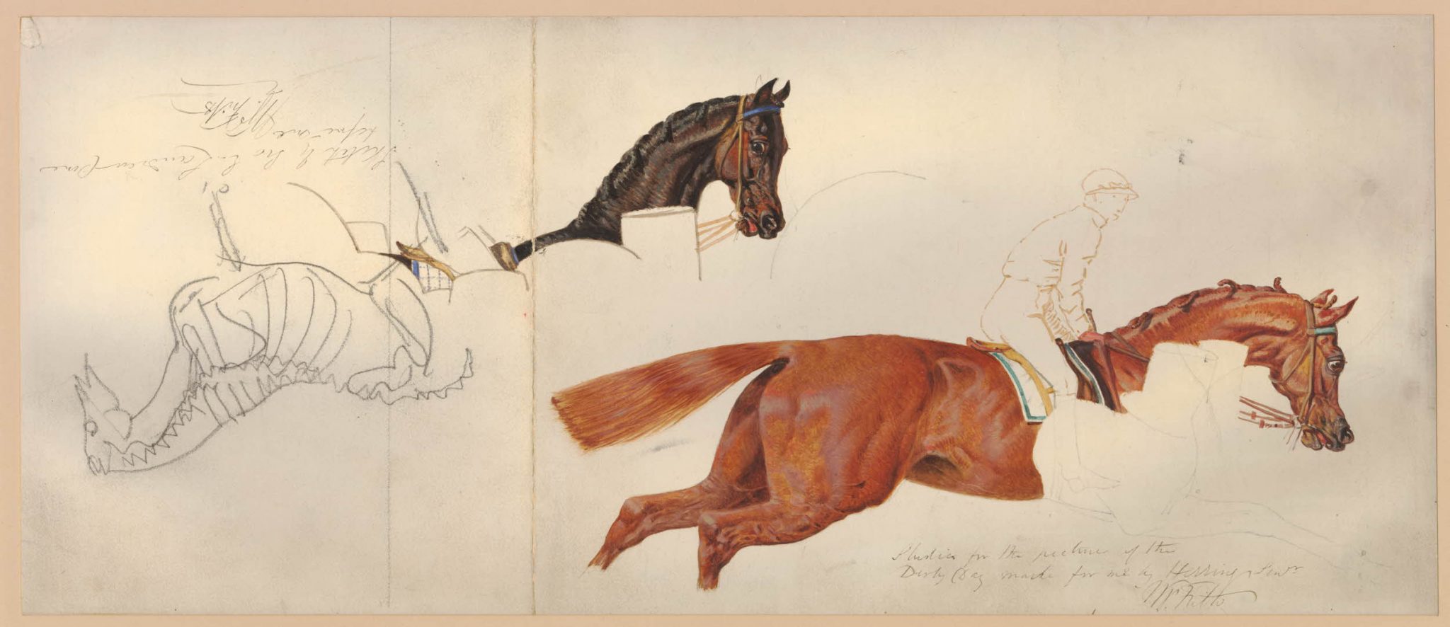 Studies of racehorses - click image to enlarge