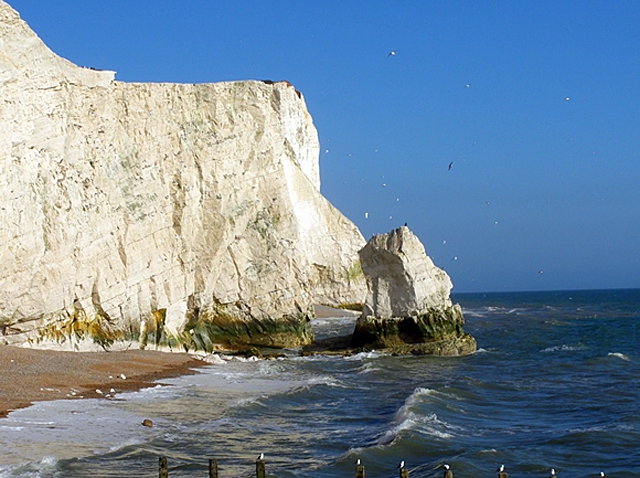 Seaford Cliff as it is now. Seaford Cliff as it is now.