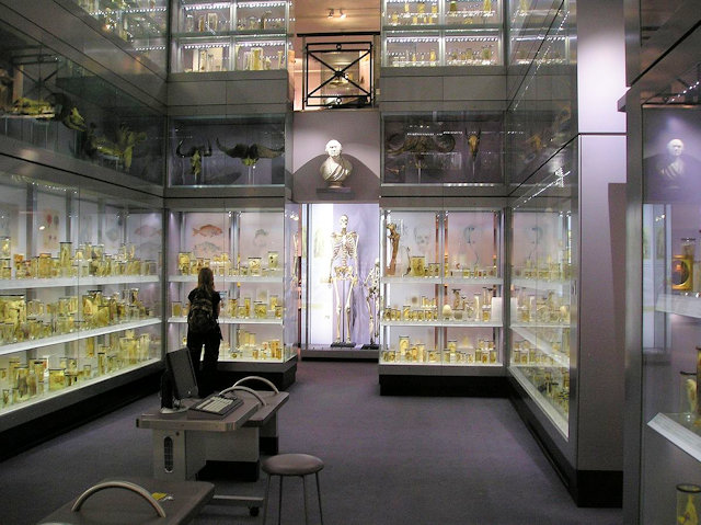 Hunterian Collection Hunterian Collection