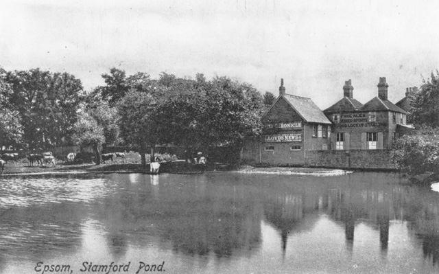 An early postcard of Stamford Pond