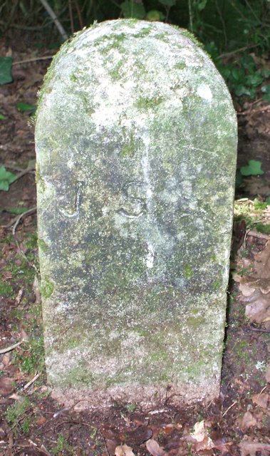An Epsom/Ashtead Manor boundary marker