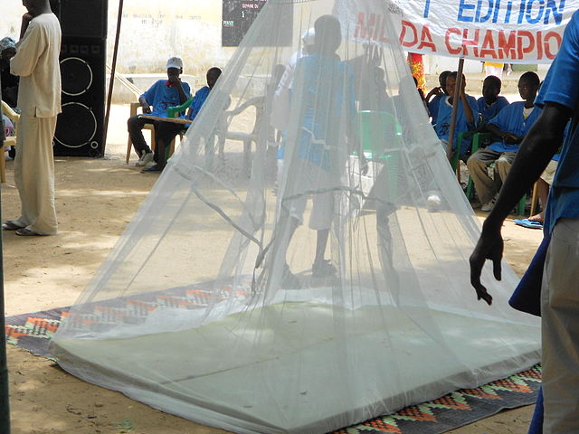 insecticide-treated net outside to prevent malaria
