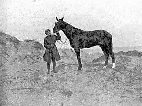 Elsie and horse on the dunes. Elsie and horse on the dunes.