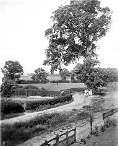 Northcroft Road 1929.