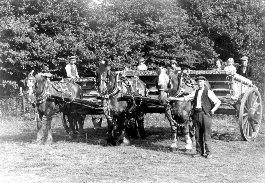 Pocock's haulage team