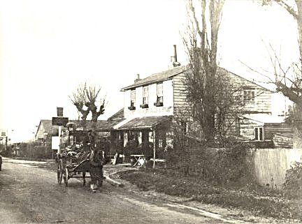 Old Queen Adelaide c 1920