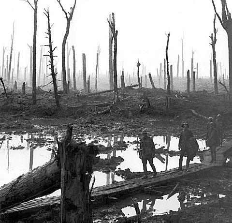 Passchendaele - Soldiers of an Australian 4th Division field artillery brigade on a duckboard track passing through Chateau Wood, near Hooge in the Ypres salient, 29 October 1917.