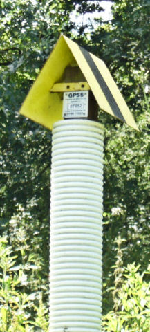 A Pluto Marker