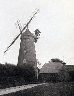 Reigate Wary Common Tower Mill By H.Lloyd