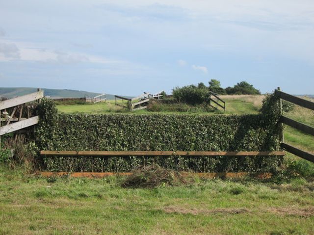 Jumps at Old Lewes Racecourse.