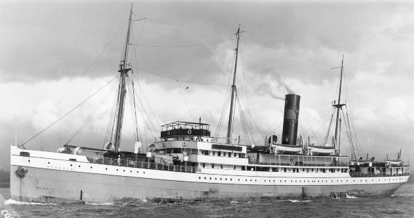 The SS Avoceta
