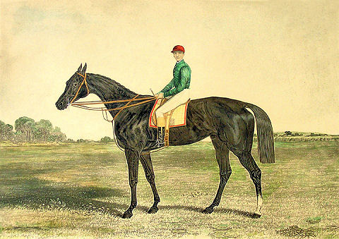Sefton. Winner of the Derby Stakes at Epsome 1878