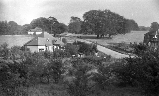 Photograph B