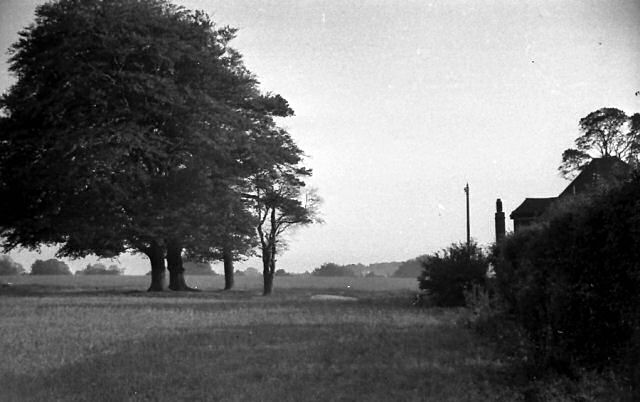 Photograph E