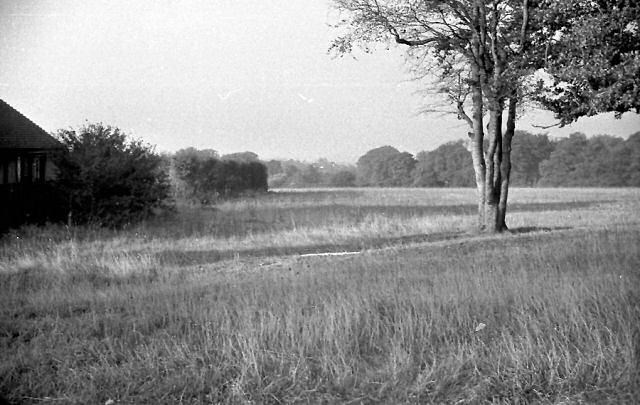 Photograph F