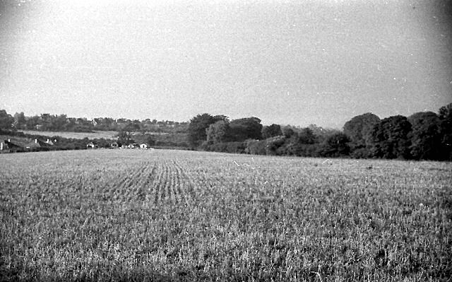 Photograph I
