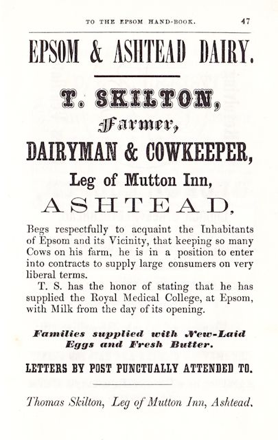 1860 T Skilton (senior) Adverts