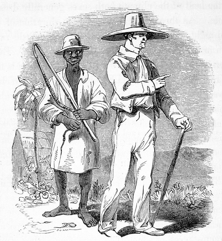Plantation Driver, Jamaica 1840s By James M. Phillippo Plantation Driver, Jamaica 1840s By James M. Phillippo