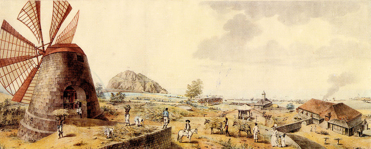 Sandy Point Estate, St. Kitts (St. Christopher) c.1795 Sandy Point Estate, St. Kitts (St. Christopher) c.1795