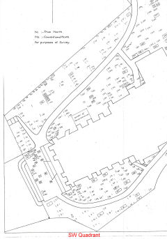 Plan of St Martin's Graveyard - SW Quadrant - Click to enlarge