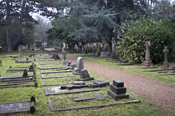 Part of St. Mary's Churchyard